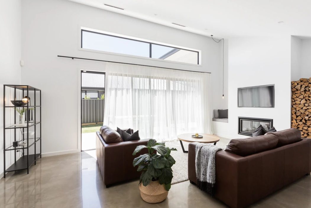 A living room with couches and a plant in the middle of it