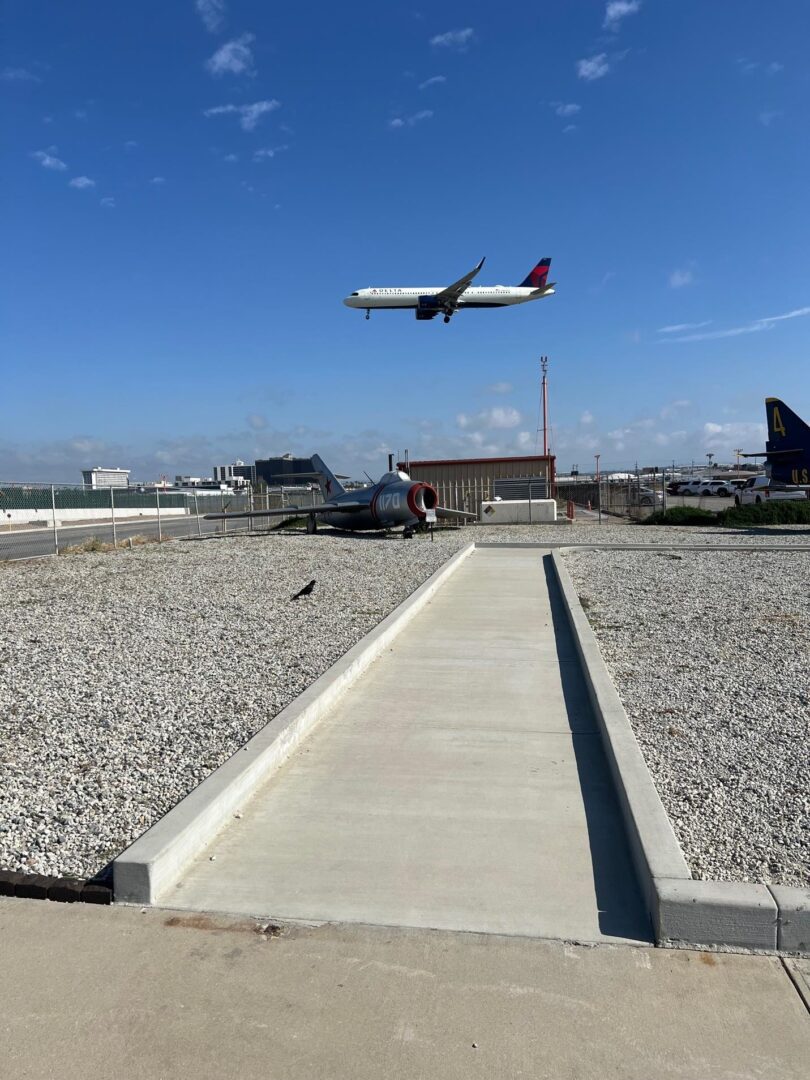 Jet plane landing on runway with a bird.